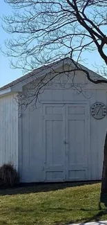 Rustic white shed under blue sky with tree shadow.