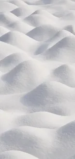 Tranquil white snow waves create a serene winter landscape.
