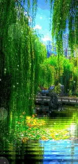 Peaceful city park with willow trees and pond reflecting greenery.