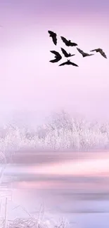 Serene wallpaper of birds flying over frosty winter landscape.