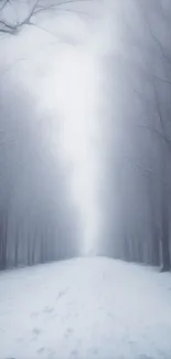 Misty winter forest path with snow-covered trees.