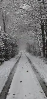 A tranquil snowy pathway through a serene forest in winter.