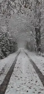 Snow-covered forest path in winter setting.