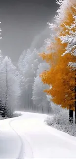 Snowy forest path with golden tree in winter.