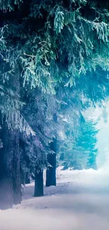 Tranquil winter forest path with snow-covered trees.