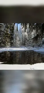 Serene winter forest with a calm lake reflection and snow-covered trees.