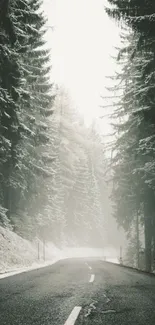 Snow-covered forest road in winter scenery.