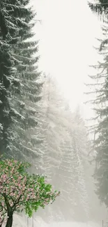 Scenic winter forest road with snow-covered trees and a single blossoming tree.