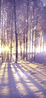 Serene winter forest with sunlight through trees on snow.