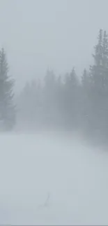 Serene winter forest with snow and fog.