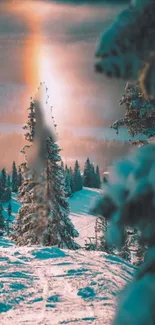 Serene winter forest with sunrise casting warm glow on snow-covered trees.