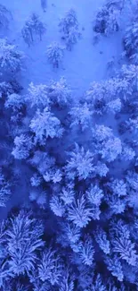 Aerial view of snow-covered forest in vivid blue colors.