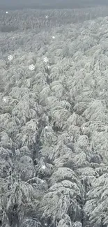 Snow-covered forest canopy with snowflakes falling.