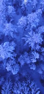 Aerial view of a snowy blue forest in winter.