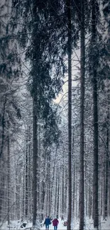 Three people walking in a snowy forest path