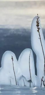 Tall ice formation against a serene icy lake.