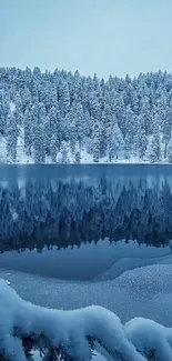 A serene frozen lake surrounded by snow-covered trees under an ice blue sky.