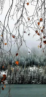 Serene winter lake view with snowy forest and tree branches.