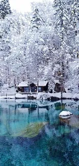 Snow-covered trees and a blue lake in winter.