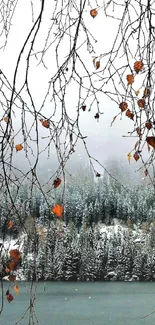 Serene winter lake wallpaper with snow-covered trees and branches.