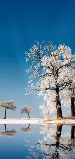 Snow-covered trees reflected in a tranquil lake under a vibrant blue sky.