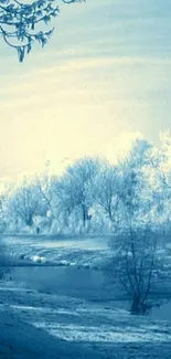 Serene winter landscape with snow-covered trees and a tranquil frozen scene.