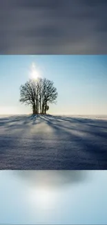 Solitary tree on a snowy plain under a bright blue sky.