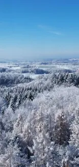 Serene winter landscape with snow-covered river and trees under a blue sky.