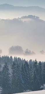 Snowy forest with misty hill backdrop.