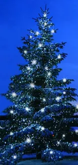 Snowy Christmas tree under a blue night sky