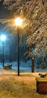 Snowy park with glowing street lamps at night.