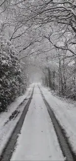 Snowy path through a serene winter forest landscape.