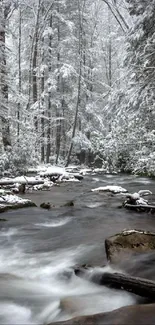 Serene winter river with snow-covered trees.