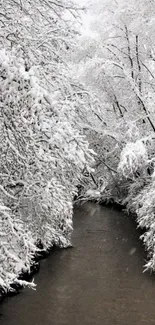 Serene winter river with snow-covered trees lining the banks.