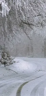 Snow-covered road with frosty trees, serene winter scene.