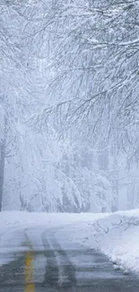 Serene winter road with snow-covered trees.