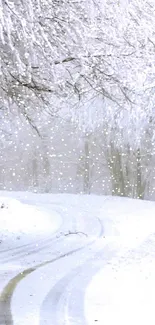 Snowy road through a winter forest, serene and peaceful.