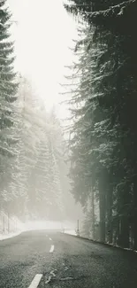 Serene winter road with snow-covered trees and misty atmosphere.