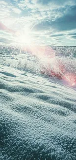 Snowy landscape with sun shining and cloudy blue sky.