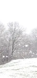 Serene winter snowfall with barren trees in a peaceful landscape.