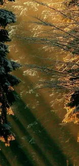 Sun-drenched snowy forest path radiating warmth.