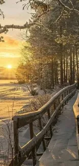 A scenic winter pathway at sunrise with snow-covered trees and a golden sky.