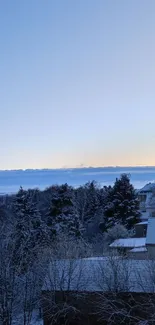 Serene winter morning with snow-covered trees and a glowing sky.