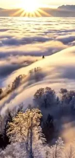 Serene winter sunrise over snowy trees with clouds.