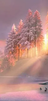 Serene winter sunrise with snow-covered trees and warm morning light.