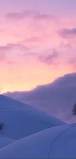 Serene sunset over snowy hills with tree.