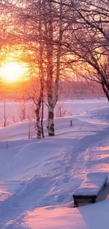 Serene winter sunset with snow-covered trees and vibrant colors.