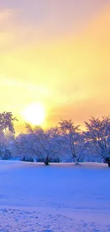 Winter sunset over snowy landscape with trees.