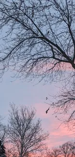 Serene winter sunset with silhouetted trees against a pink sky.