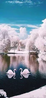 Winter scene with swans on a reflective lake.